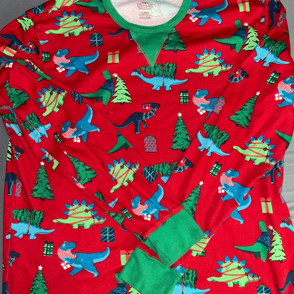 Dinosaur Christmas pjs sz L